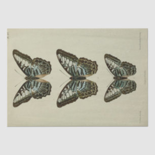 Vintage Ephemera Script Blue Butterfly Decoupage Tissue Paper