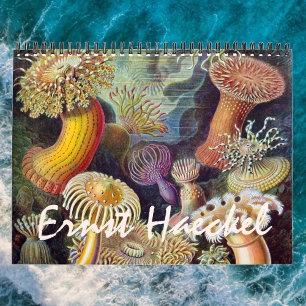 Vintage Ernst Haeckel, Biology, Botany, Science Calendar