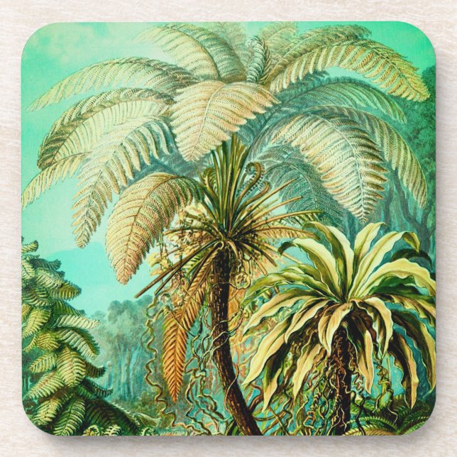 Vintage Ernst Haeckel Botanical Palms Coaster (Front)
