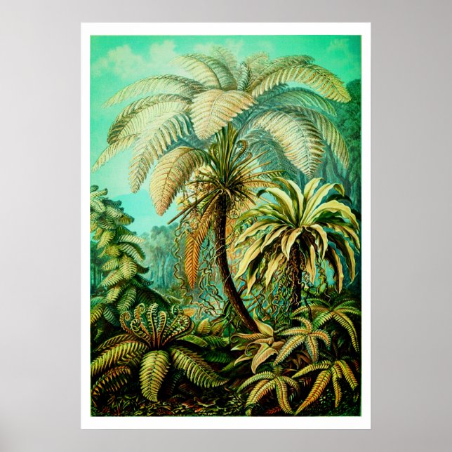 Vintage Ernst Haeckel Botanical Palms Poster (Front)