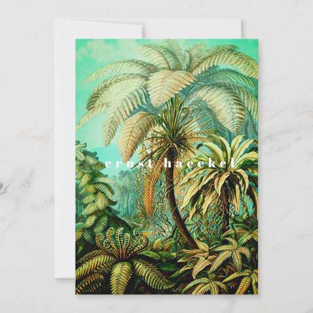 Vintage  Ernst Haeckel Botanical Palms Thank You Card (Front)
