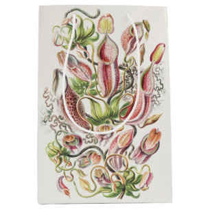 Vintage Ernst Haeckel Botanical Pitcher Plant Medium Gift Bag