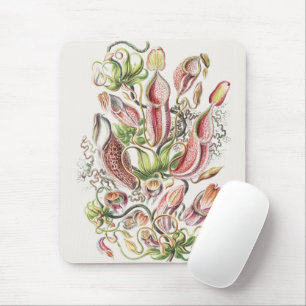 Vintage Ernst Haeckel Botanical Pitcher Plant Mouse Mat