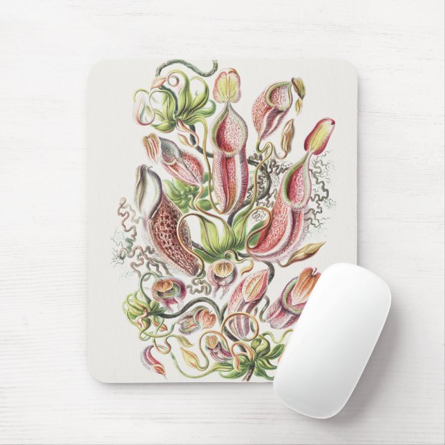 Vintage Ernst Haeckel Botanical Pitcher Plant Mouse Mat (With Mouse)