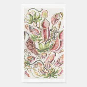 Vintage Ernst Haeckel Botanical Pitcher Plant Napkin