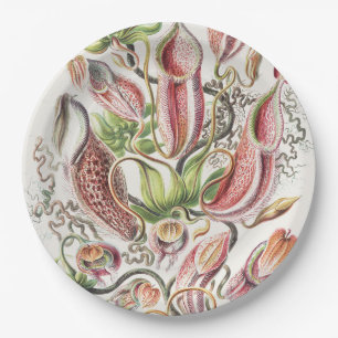 Vintage Ernst Haeckel Botanical Pitcher Plant Paper Plate