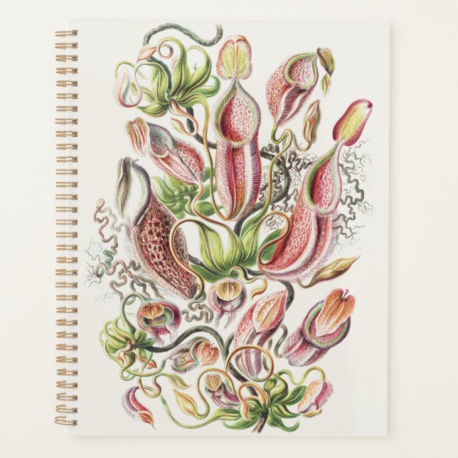 Vintage Ernst Haeckel Botanical Pitcher Plant Planner (Front)