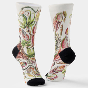 Vintage Ernst Haeckel Botanical Pitcher Plant Socks