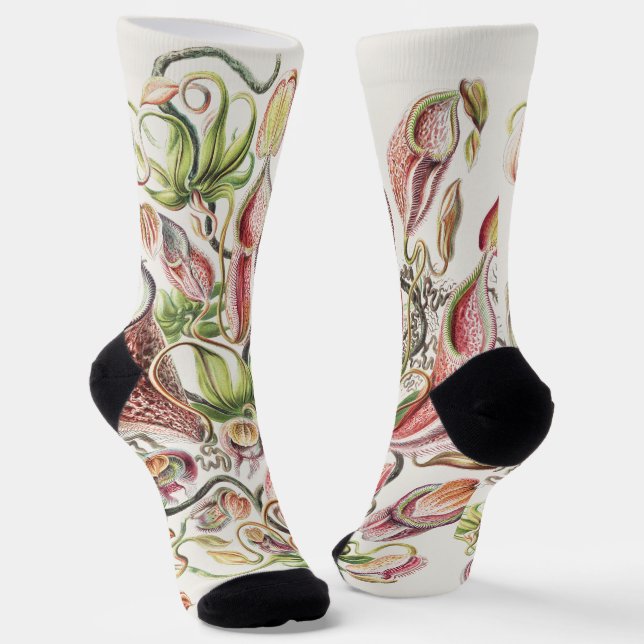 Vintage Ernst Haeckel Botanical Pitcher Plant Socks (Angled)