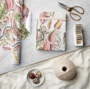 Vintage Ernst Haeckel Botanical Pitcher Plant Wrapping Paper