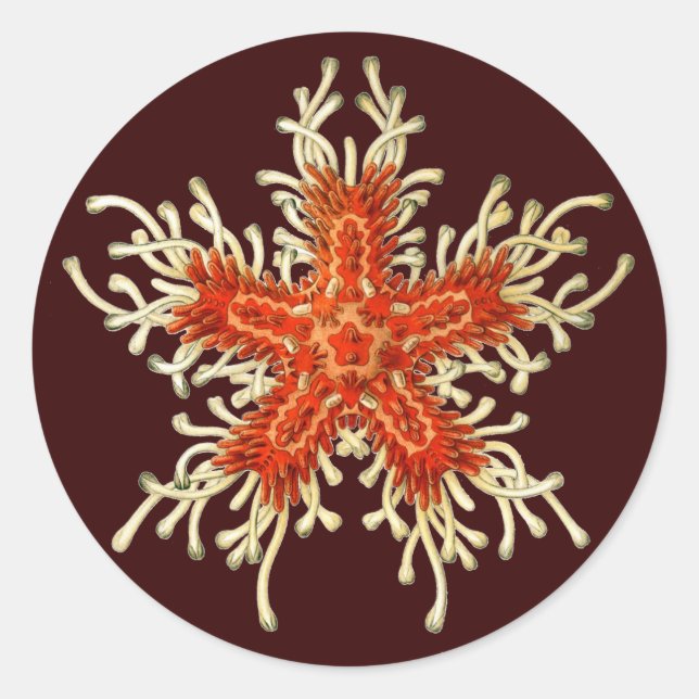 Vintage Ernst Haeckel Classic Round Sticker (Front)