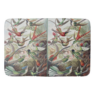 Vintage Ernst Haeckel Colourful Hummingbird Poster Bath Mat