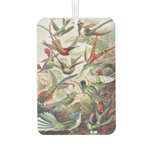 Vintage Ernst Haeckel Colourful Hummingbird Poster Car Air Freshener