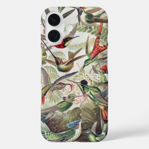Vintage Ernst Haeckel Colourful Hummingbird Poster iPhone 16 Case