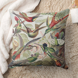 Vintage Ernst Haeckel Colourful Hummingbird Poster Cushion