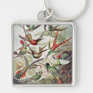 Vintage Ernst Haeckel Colourful Hummingbird Poster Key Ring