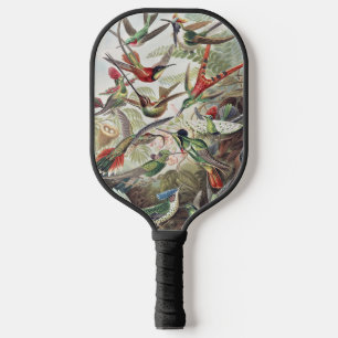 Vintage Ernst Haeckel Colourful Hummingbird Poster Pickleball Paddle