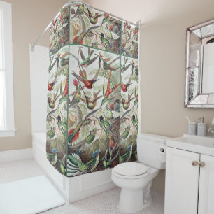 Vintage Ernst Haeckel Colourful Hummingbird Poster Shower Curtain