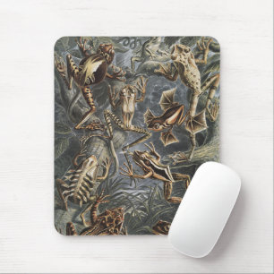 Vintage Ernst Haeckel Frog Scientific Illustration Mouse Mat