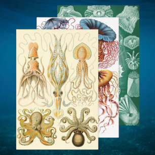Vintage Ernst Haeckel Marine Life Designs Wrapping Paper Sheet