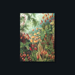 Vintage Ernst Haeckel Moss Poster Canvas Print<br><div class="desc">Vintage Ernst Haeckel Moss</div>