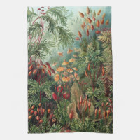 Vintage Ernst Haeckel Moss Poster Case-Mate iPhone