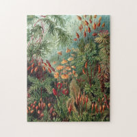 Vintage Ernst Haeckel Moss Poster