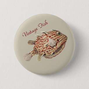 Vintage Ernst Haeckel Nautical Red Boxfish Art 6 Cm Round Badge