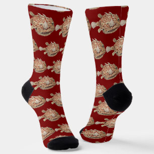Vintage Ernst Haeckel Nautical Red Boxfish Art Socks