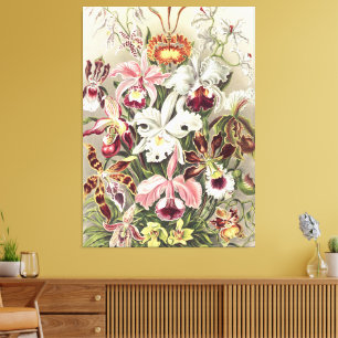 Vintage Ernst Haeckel Orchid Botanical Print