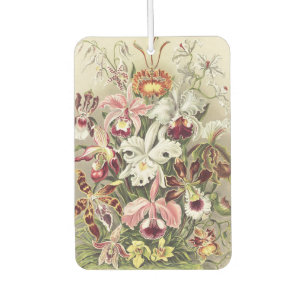 Vintage Ernst Haeckel Orchid Botanical Print Car Air Freshener