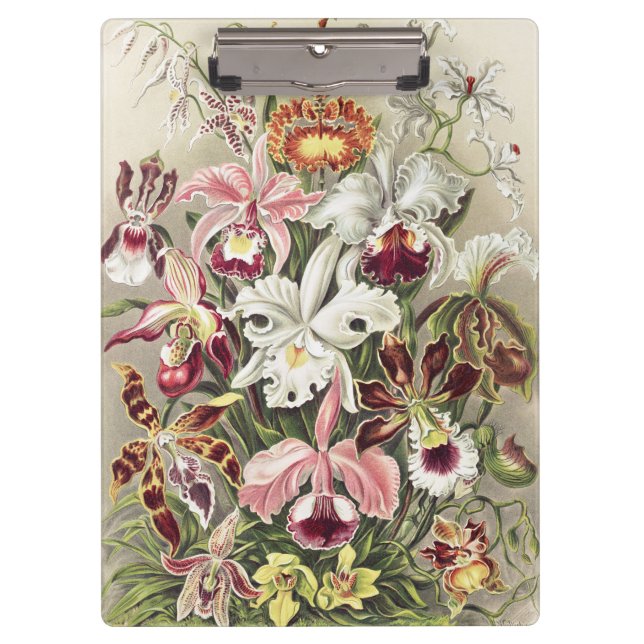 Vintage Ernst Haeckel Orchid Botanical Print Clipboard (Front)