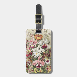Vintage Ernst Haeckel Orchid Botanical Print Luggage Tag