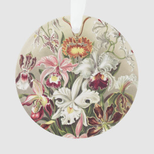 Vintage Ernst Haeckel Orchid Botanical Print Ornament