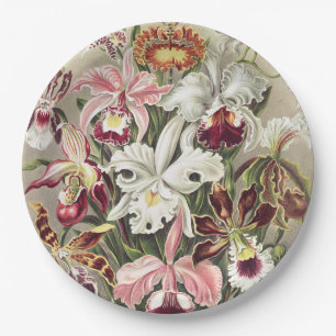 Vintage Ernst Haeckel Orchid Botanical Print Paper Plate