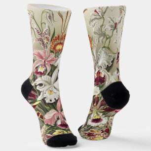 Vintage Ernst Haeckel Orchid Botanical Print Socks