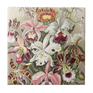 Vintage Ernst Haeckel Orchid Botanical Print Tile