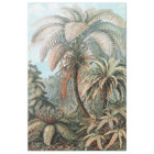 Vintage Ernst Haeckel Palm Trees Poster