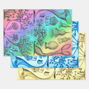 Vintage Ernst Haeckel Recolored Marine Life Wrapping Paper Sheet