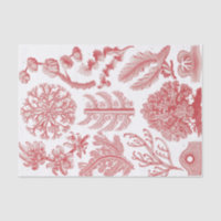 Vintage Ernst Haeckel Seaweed Poster