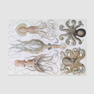 Vintage Ernst Haeckel Squids and Octopus Poster Tissue Paper