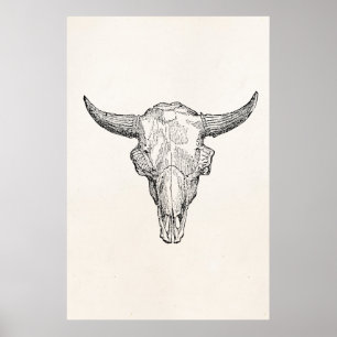 Vintage European Bison Skull Antique Template Poster