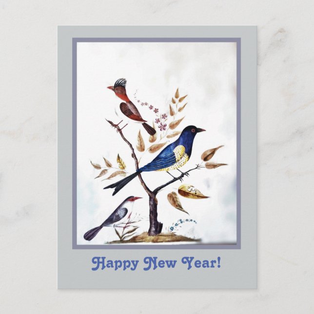 Vintage exotic birds painting holiday postcard (Front)