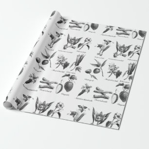 Vintage exotic fruit etching gift paper