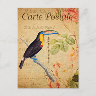 Vintage Exotic Tropical Toucan Bird Floral French Postcard