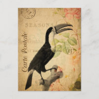 Vintage Exotic Tropical Toucan Bird Floral French