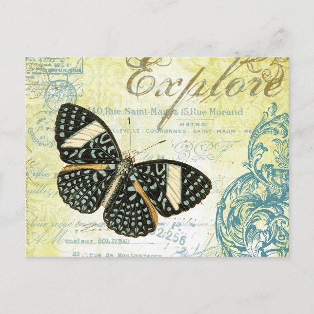 Vintage Explore Butterly...postcard Postcard (Front)