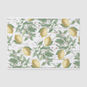 Vintage Faded Lemon Branch French Script Fruit  Tissue Paper