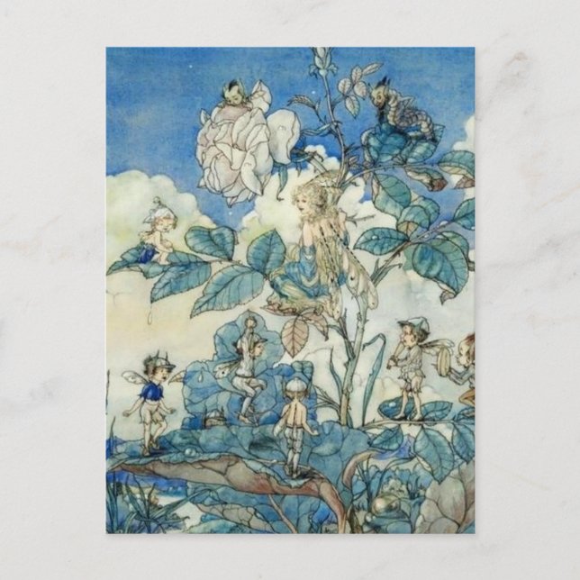 Vintage Fairies in a Rose Bush Postcard (Front)