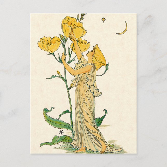 Vintage Fairy Tale, Evening Primrose, Walter Crane Postcard (Front)